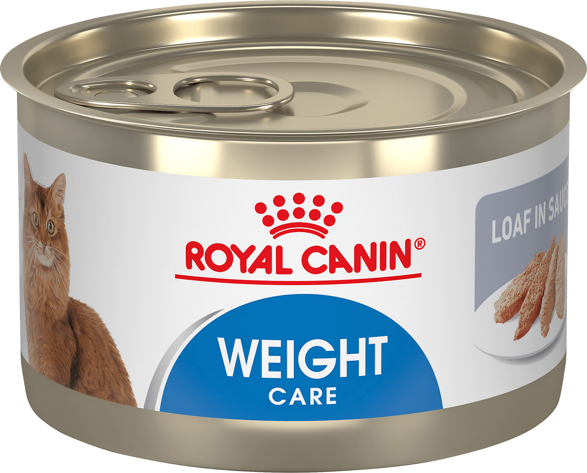 Royal Canin Weight Care Loaf In Sauce